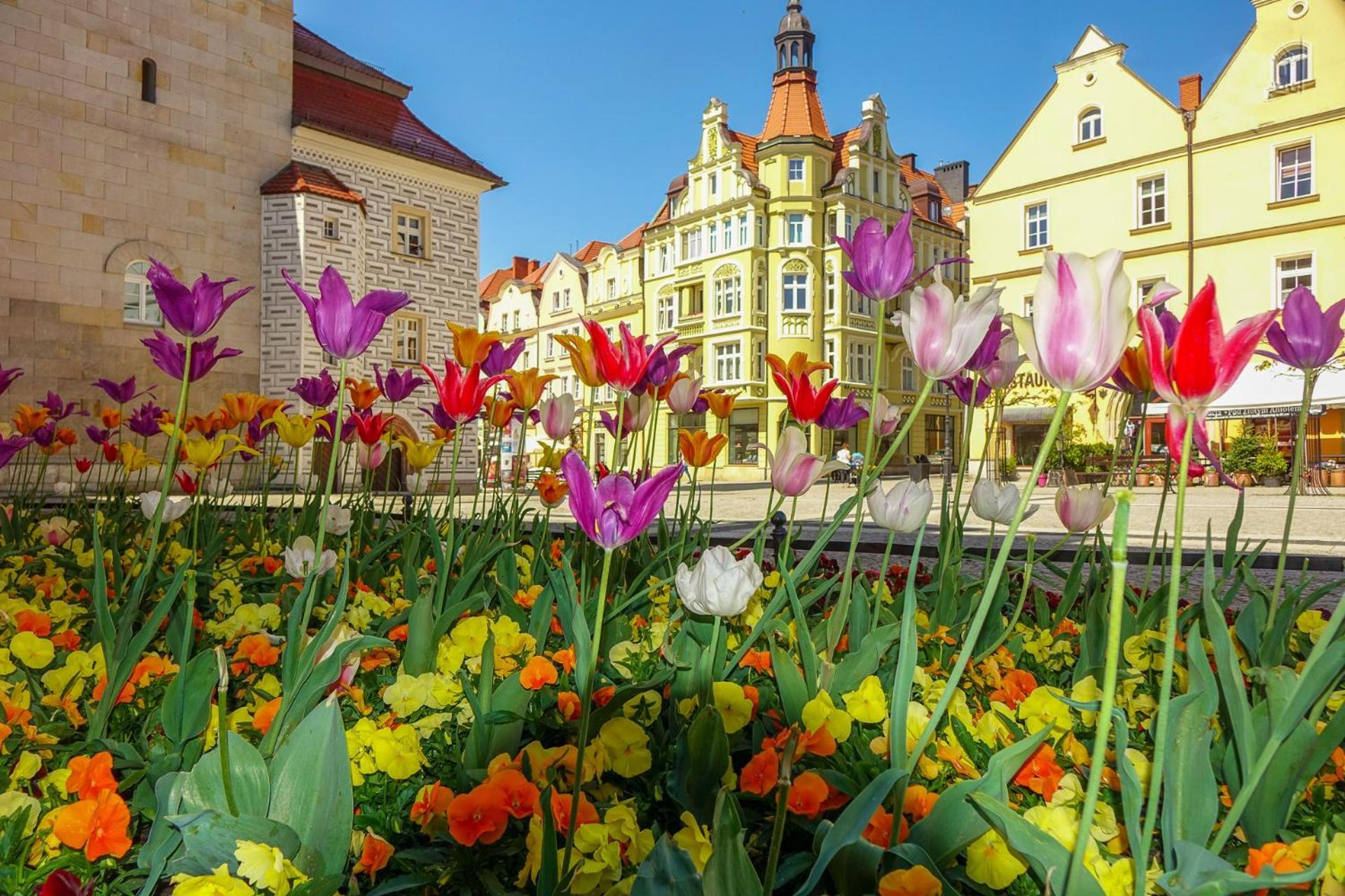 Apartament Przy Starowce - Zoni Boleslawiec  Bagian luar foto